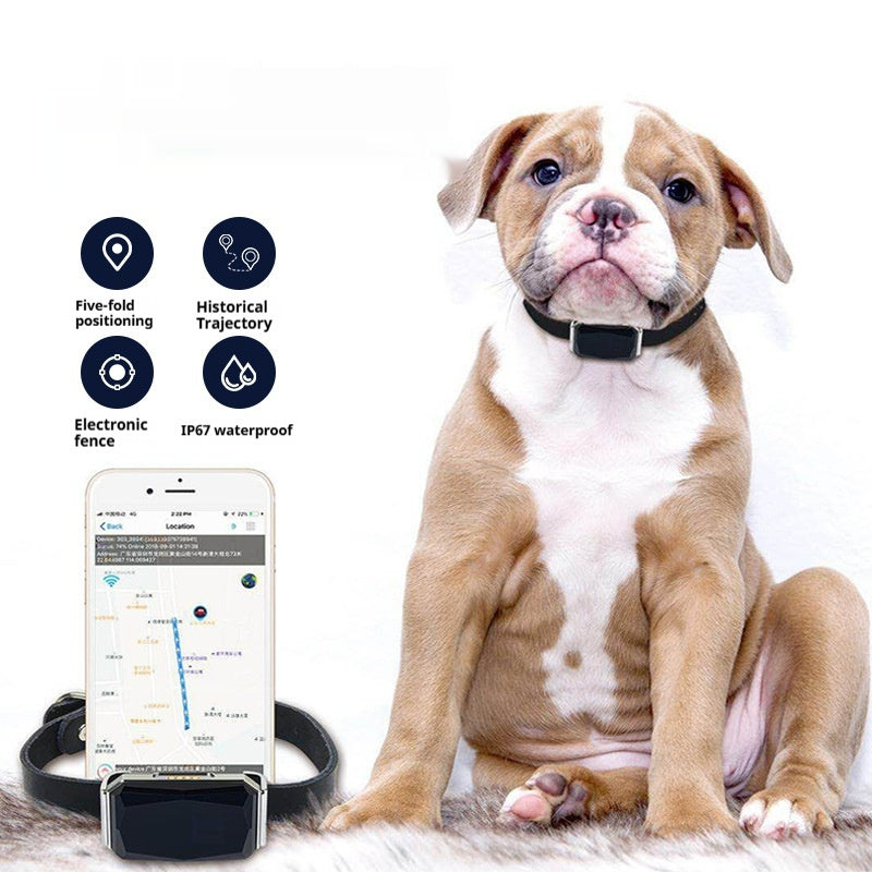 G12 Pet Tracking GPS Collar