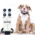 G12 Pet Tracking GPS Collar